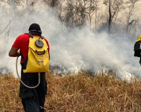 Brazil and Bolivia to join forces against fires in border region