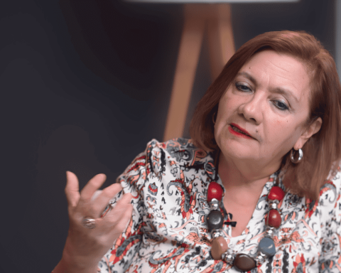 Carmen Mc Evoy: “The act of mutilating an organic text is a combination of ignorance, arrogance and sycophancy to the power that has taken the so-called Ministry of Culture by storm”