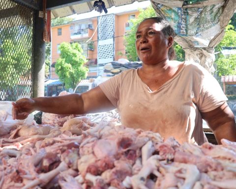 Escasez y precio de pollo, problema de hace meses