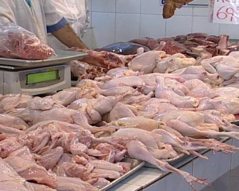 Vendedores de pollo se quedan «sin clientes» ante el alto costo de la carne