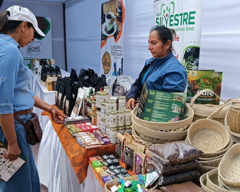 Coffee producers organize festival in Pichanaqui from August 21 to 26