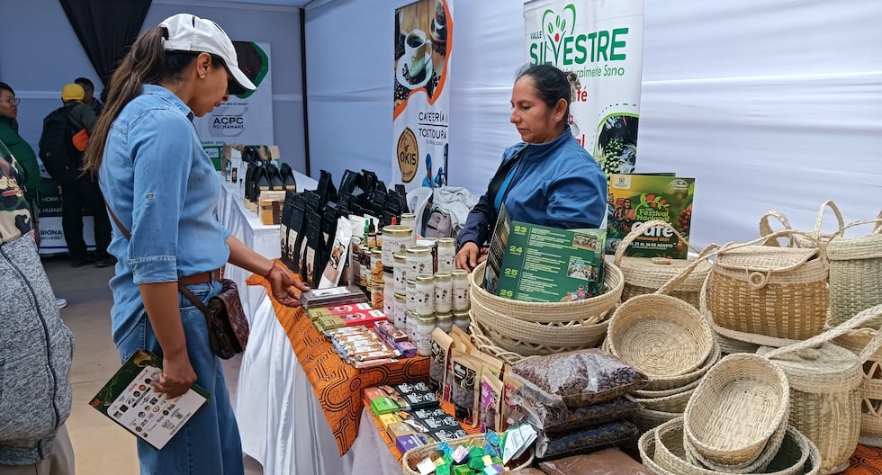 Coffee producers organize festival in Pichanaqui from August 21 to 26