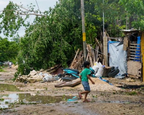 Coneval plans to evaluate social programs... in view of their possible disappearance