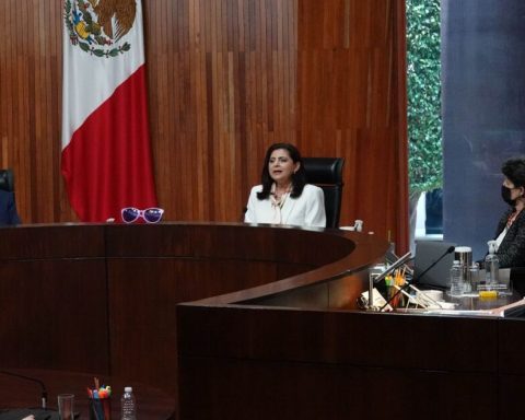 Court plans to confirm majority of Morena and allies in Deputies