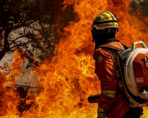 DF firefighters put out fire in the area of ​​the source of Lake Paranoá