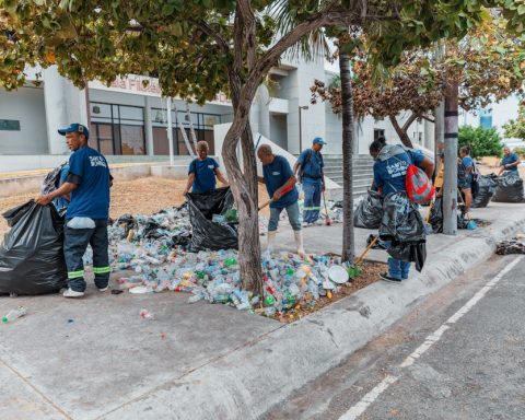 DNA says cleaning around the City Hall at the same time as the creation of Plastics by Schoolchildren