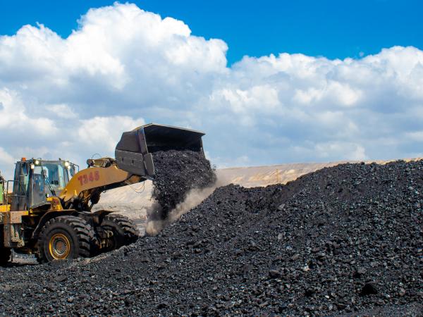 'Decree banning coal exports violates rules of free economic competition'