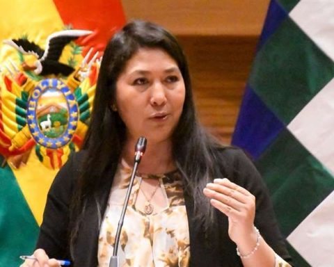 Deputy accused by Lima of being the obstacle to the annulment of the primaries accuses the intention of damaging the institutionality and her image