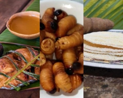 Descubre los sabores únicos y exóticos de Guainía: platos típicos poco conocidos