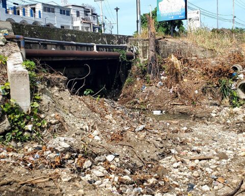 Ecological damage to protected areas in Puerto Plata reported