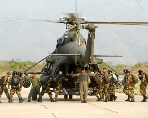 Fanb deployed troops in Guárico against gangs