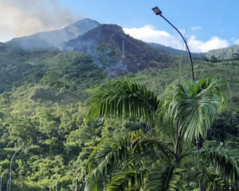 Fighting forest fire in Waraira Repano