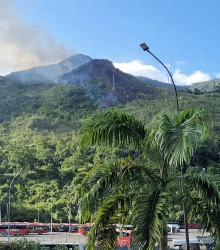 Fighting forest fire in Waraira Repano