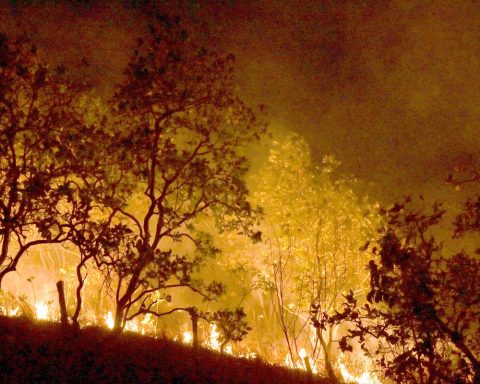 Fires: government will focus actions on 21 municipalities in the Amazon