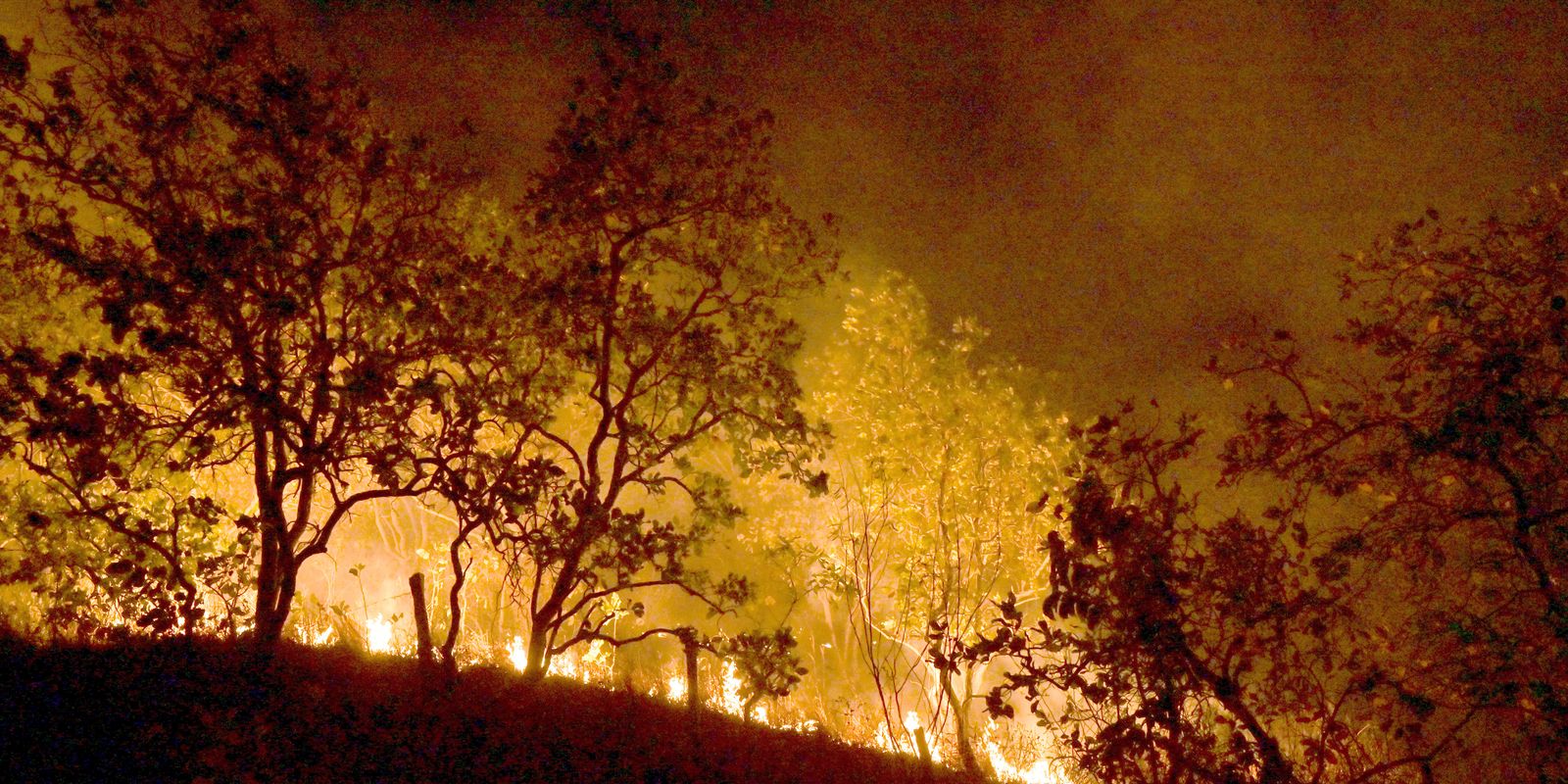 Fires: government will focus actions on 21 municipalities in the Amazon