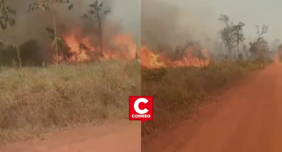 Forest fire devastates communities in Madre de Dios and puts the lives of its inhabitants at risk