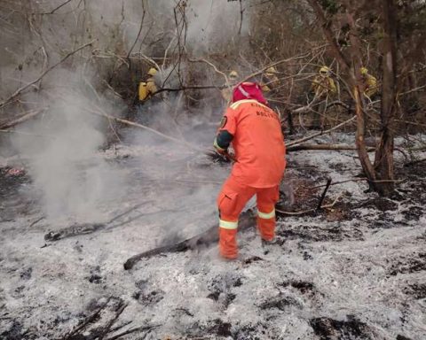 Forest fires: Government counts 5 throughout the country, while the Santa Cruz Governorate reports 27 in its territory alone