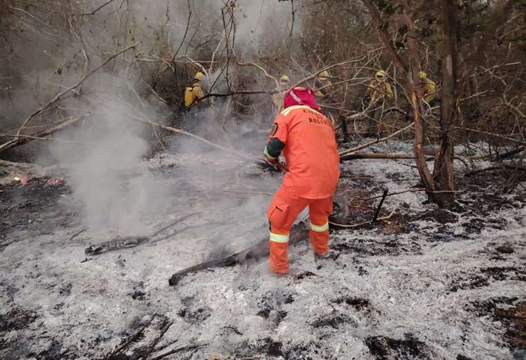 Forest fires: Government counts 5 throughout the country, while the Santa Cruz Governorate reports 27 in its territory alone