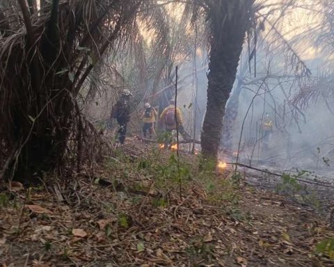 Forest fires: dense smoke forces suspension of classes in Santa Ana de Velasco