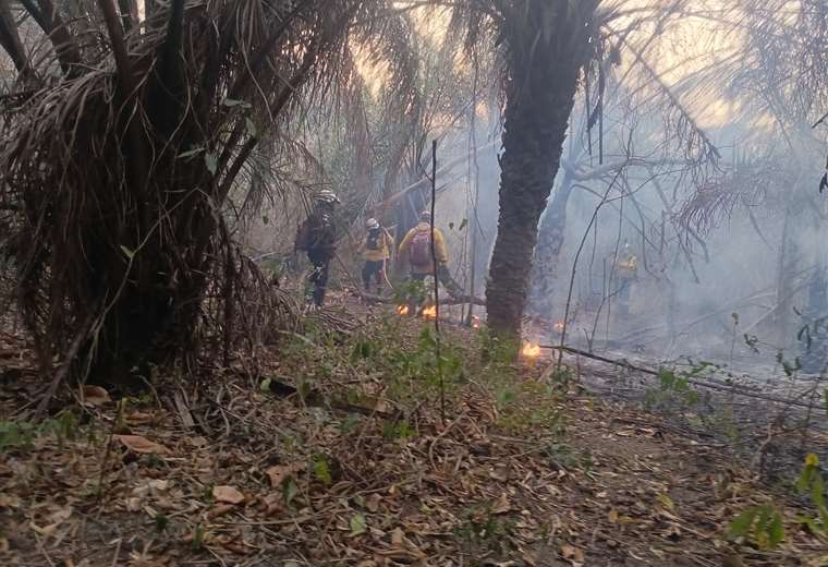 Forest fires: dense smoke forces suspension of classes in Santa Ana de Velasco