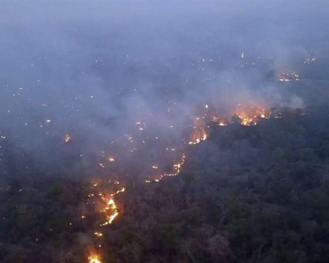 Forest fires persist in three municipalities of Santa Cruz and Beni, according to Civil Defense