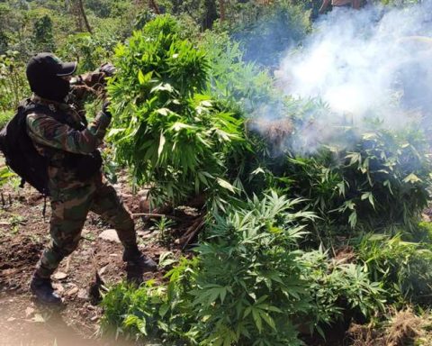 Government denounces that coca growers took over seven military camps and prevented the eradication of coca