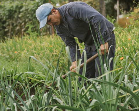 Government files the Law on Agrarian Jurisdiction before the Senate of the Republic