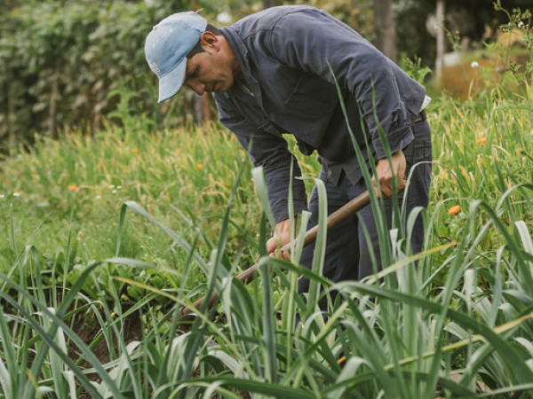 Government files the Law on Agrarian Jurisdiction before the Senate of the Republic