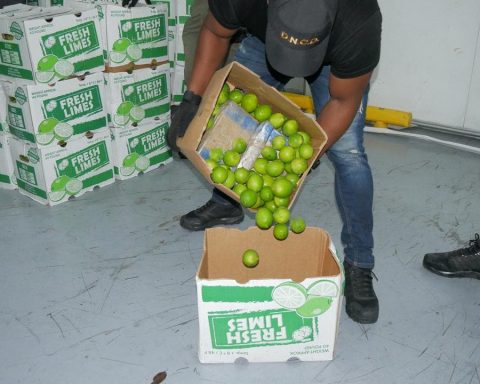 ¡Escondido en limones! Intentan introducir 1,585 paquetes de cocaína por Boca Chica