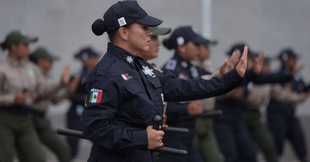 How many types of police are there in Mexico and what are their functions?