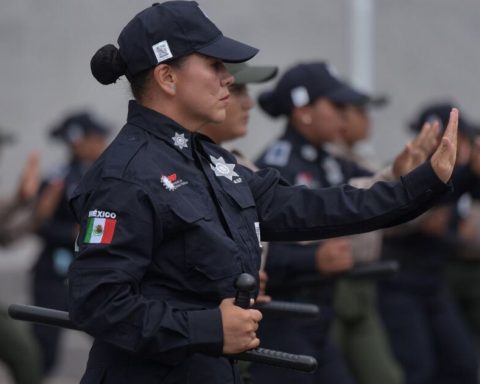 How many types of police are there in Mexico and what are their functions?