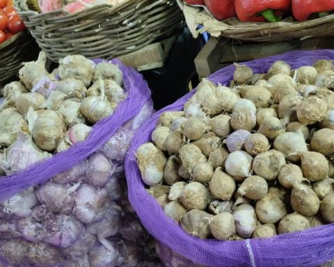 Huancayo: Garlic price rose from 6.50 to 35.00 soles in 7 months