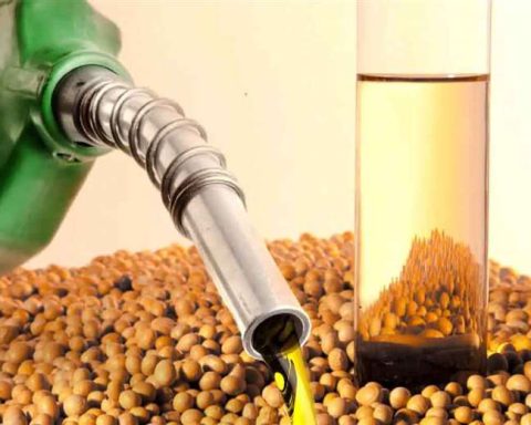 Importation of equipment and machinery for biodiesel production will have 'zero tariff', according to the Government