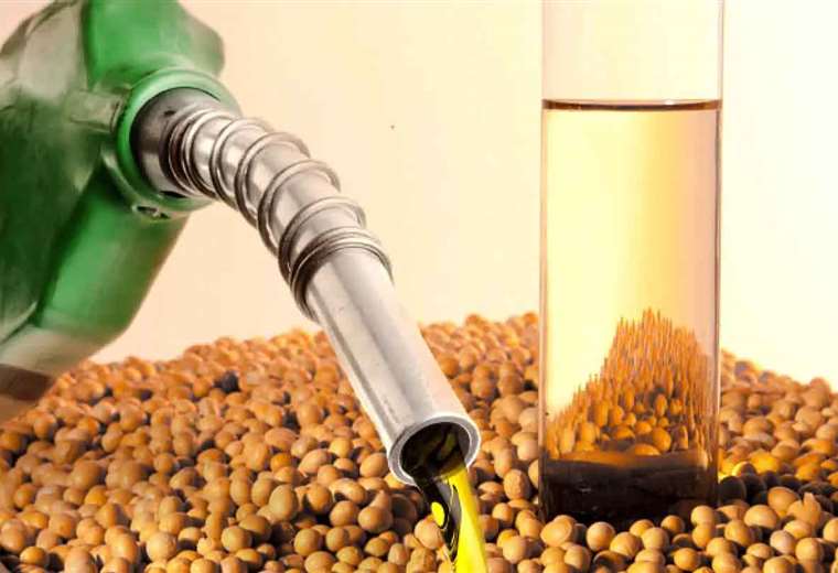 Importation of equipment and machinery for biodiesel production will have 'zero tariff', according to the Government