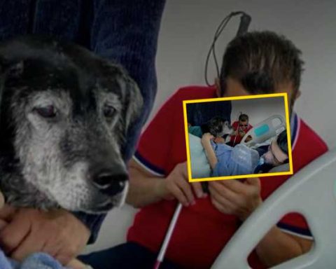 José, a terminally ill patient who died after saying goodbye to his pet, had been hospitalized for months