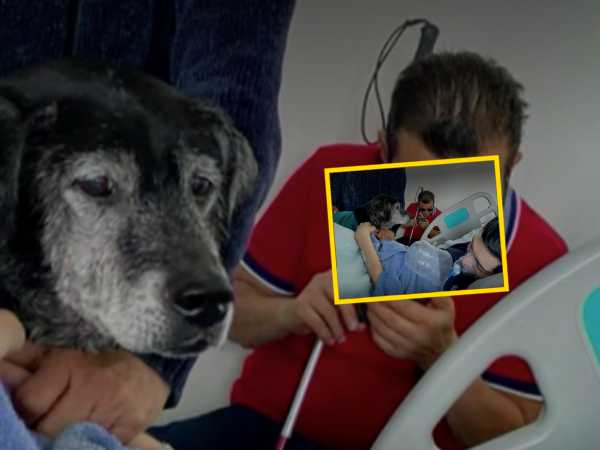 José, a terminally ill patient who died after saying goodbye to his pet, had been hospitalized for months