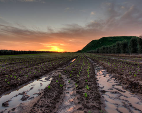 'La Niña phenomenon would not have a major impact on inflation rate': Banrep