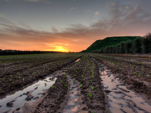 'La Niña phenomenon would not have a major impact on inflation rate': Banrep