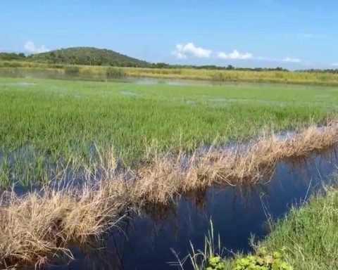 Landowners report flooding of their properties due to obstruction of the border wall in Vigía Dajabón