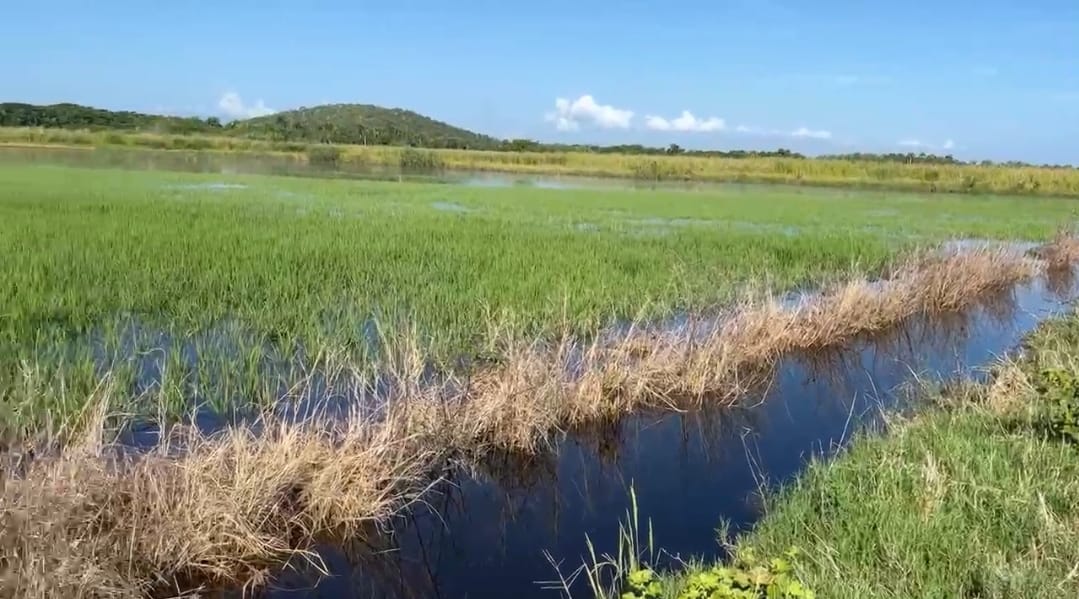 Landowners report flooding of their properties due to obstruction of the border wall in Vigía Dajabón