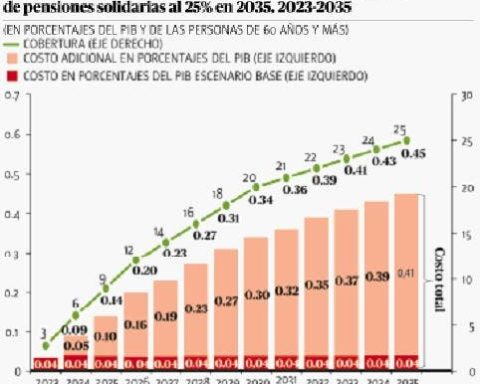 Baja cobertura Contributivo obliga a pensiones solidarias