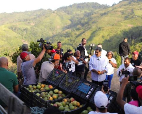 Maduro: a new territorialized system of government must be built