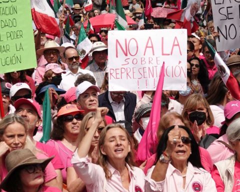 Marea Rosa takes to the streets again: calls for an end to the overrepresentation of Morena