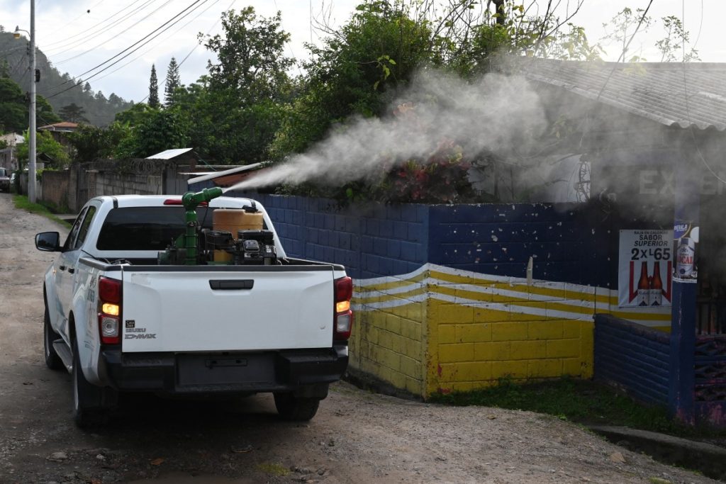 Minsa reports more than 55 thousand cases of dengue to the PAHO, but does not activate an epidemiological alert