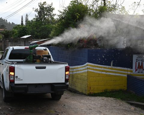 Minsa reports more than 55 thousand cases of dengue to the PAHO, but does not activate an epidemiological alert