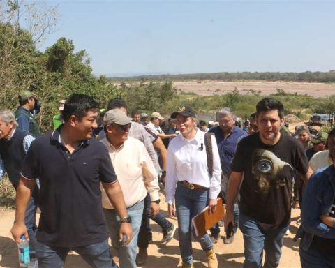 New inspection adds institutions to the request to preserve the Cordón