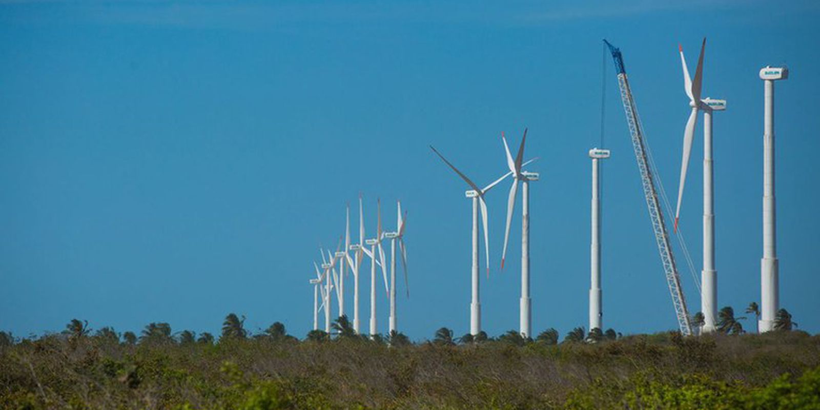 Northeast has second consecutive record of wind power generation