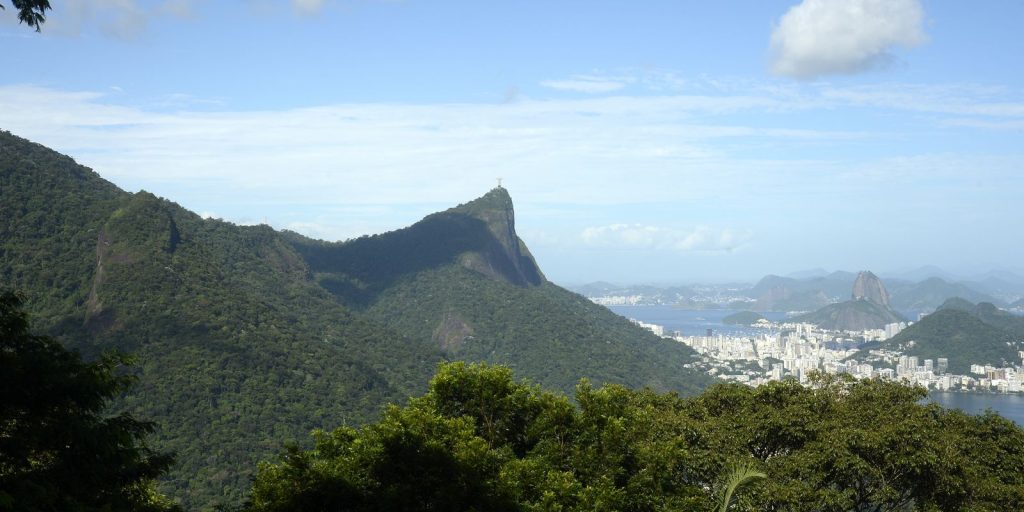 Number of forest fires in Rio has already increased by 85% this year