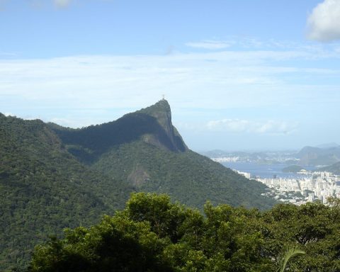 Number of forest fires in Rio has already increased by 85% this year