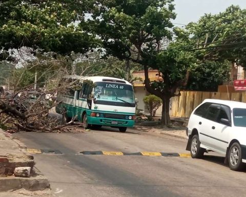 Orange alert in effect for winds of 60 to 90 kilometers per hour in Santa Cruz